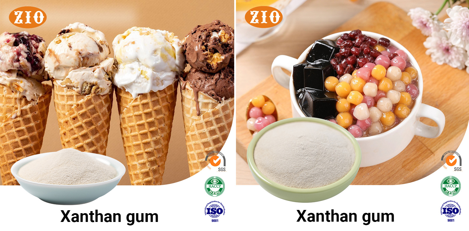 xanthan-gum xanthan-gum