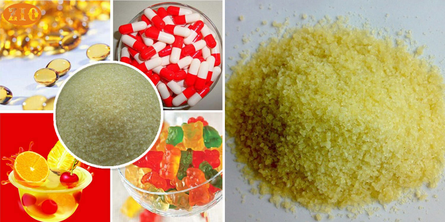 Gelatin Gelatin