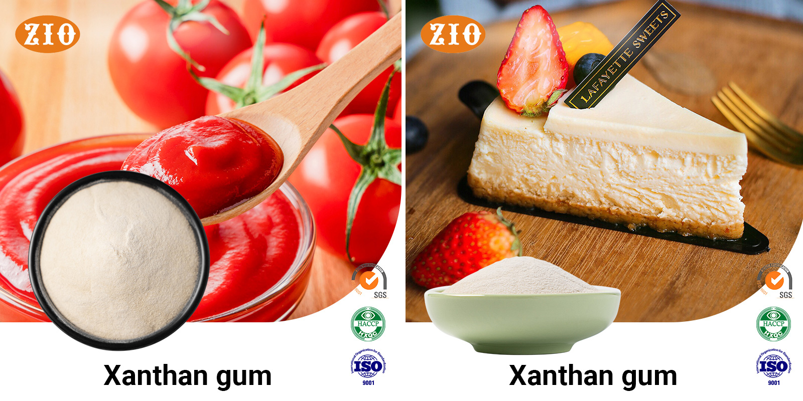 xanthan-gum- xanthan-gum-