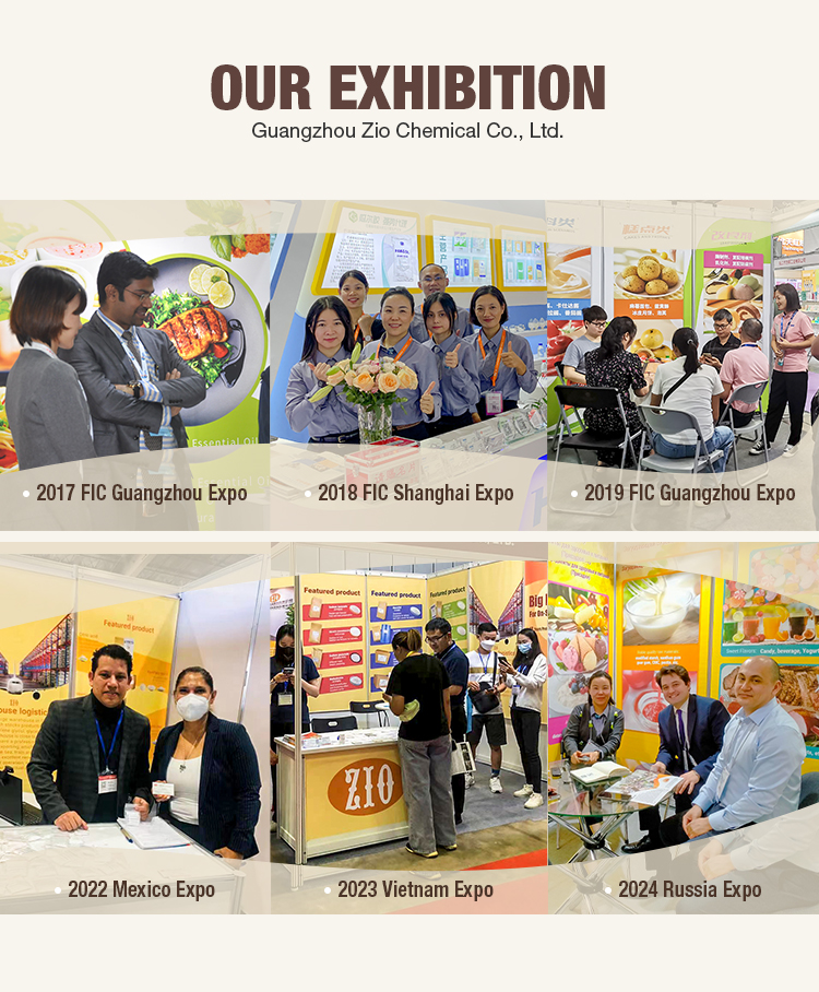 exhibition exhibition