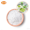 Natural Xylitol Low GI Sweetener for Food, Beverage & Oral Care Sugar Substitute for Diabetic & Keto Diets
