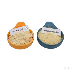 Yeast Protein Raw Material for Protein Powders & Meal Replacements Food Grade Ideal for Sports Nutrition & Supplements