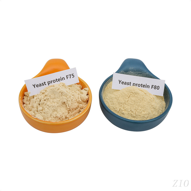 Yeast Protein Raw Material for Protein Powders & Meal Replacements Food Grade Ideal for Sports Nutrition & Supplements